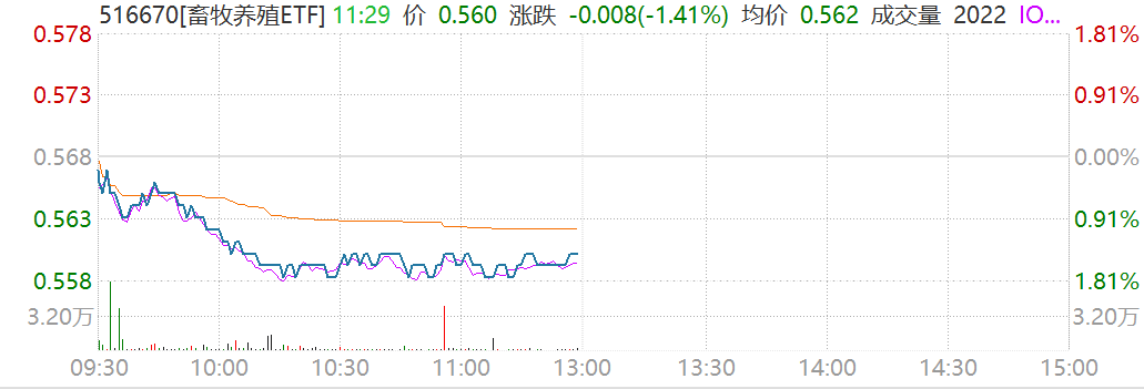 畜牧养殖午间资讯20240822