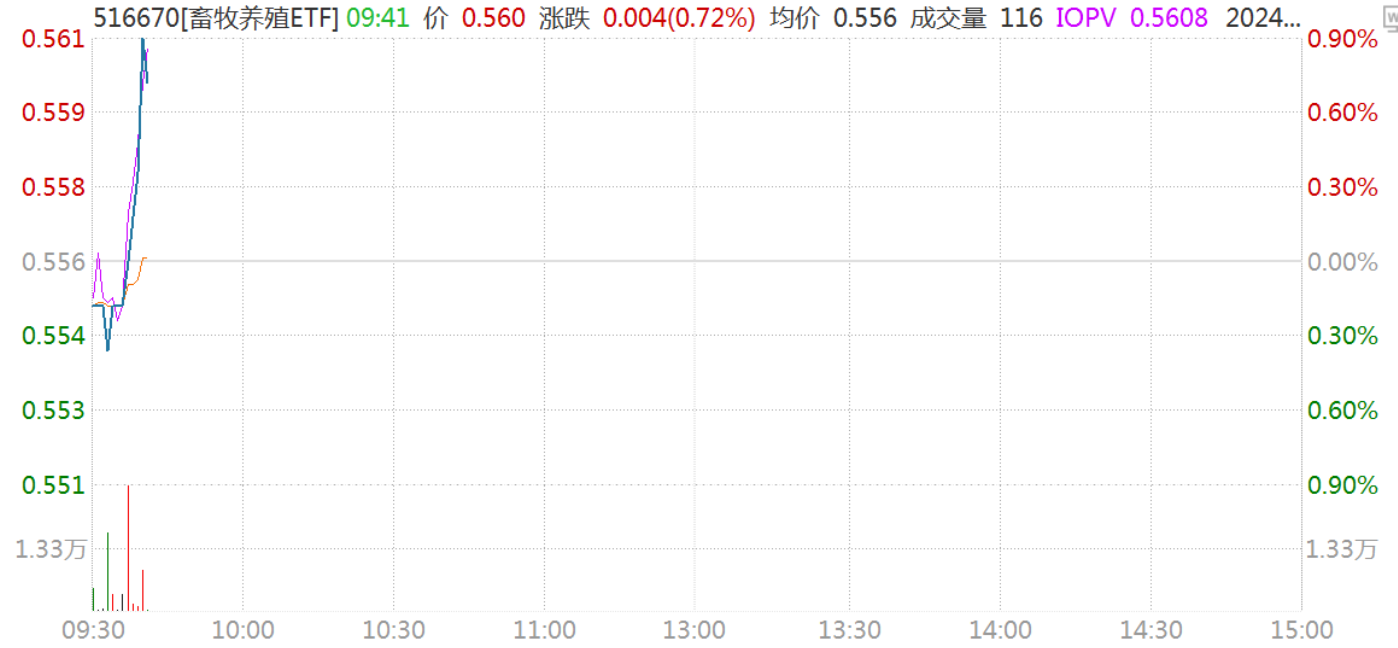 畜牧早报20240903