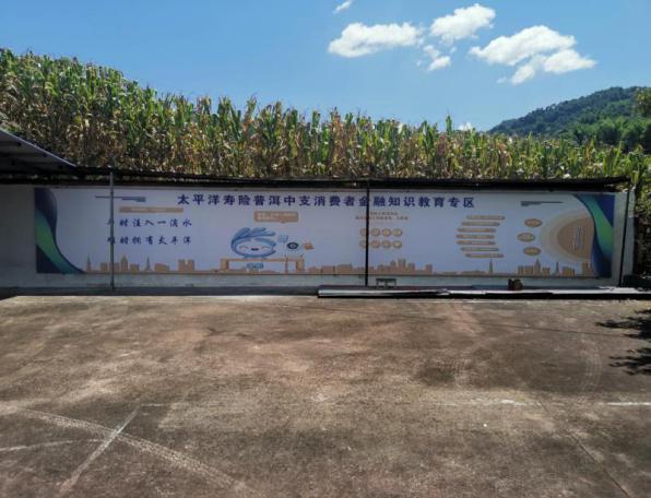 20240930+中国太保寿险做实“消保县域行”,打通金融教育“最后一公里”