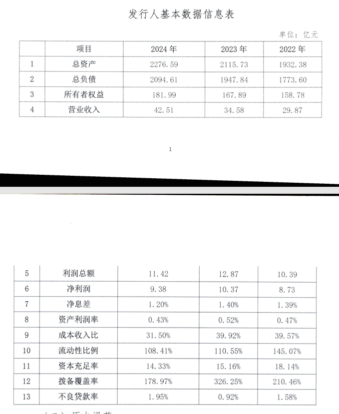 乌鲁木齐银行2024年净利润9