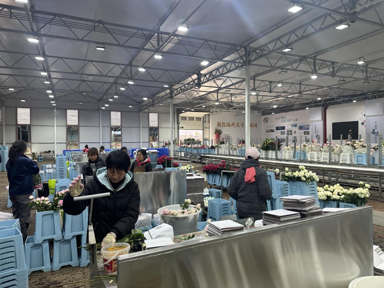 【发布版】助力“美丽产业”成为“幸福产业” 恒丰银行支持云南省花卉产业发展再提速