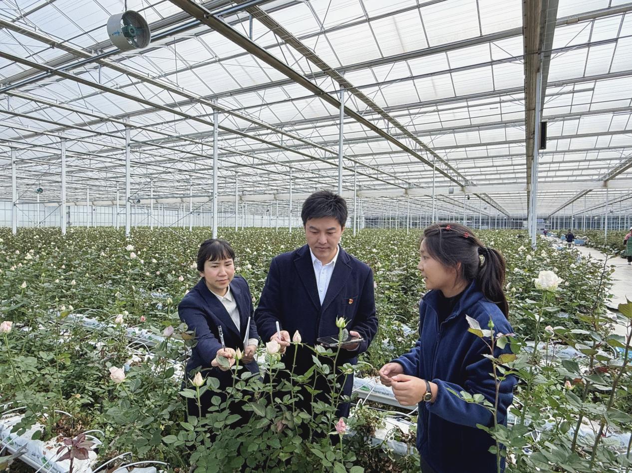 【发布版】助力“美丽产业”成为“幸福产业” 恒丰银行支持云南省花卉产业发展再提速