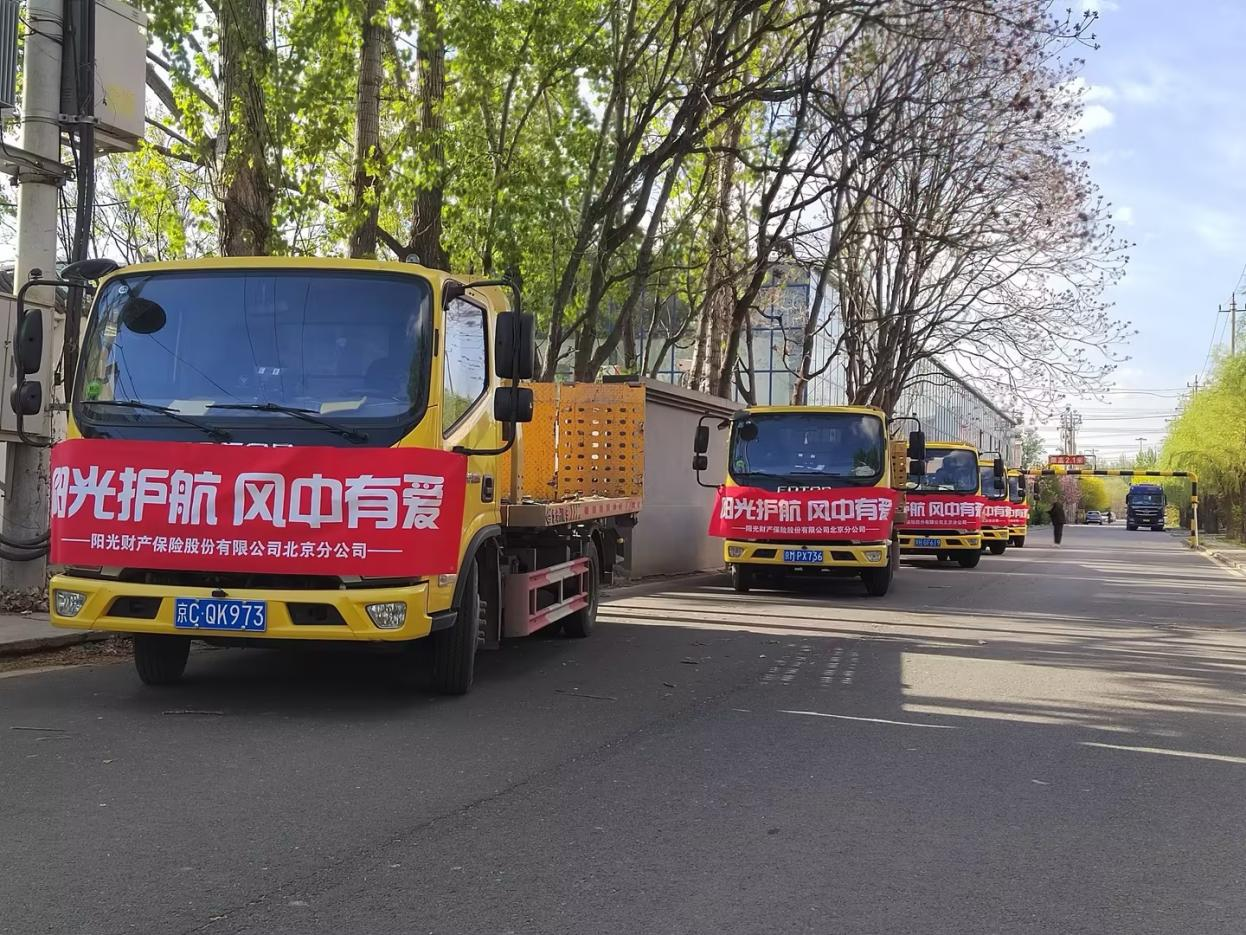 【阳光保险】筑牢“防风墙”！阳光财险积极迎战极端大风天气考验