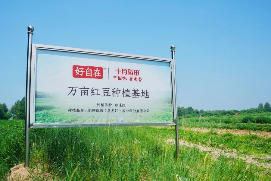元气森林好自在发力原料端，首个红豆种植基地迎来抽苗期