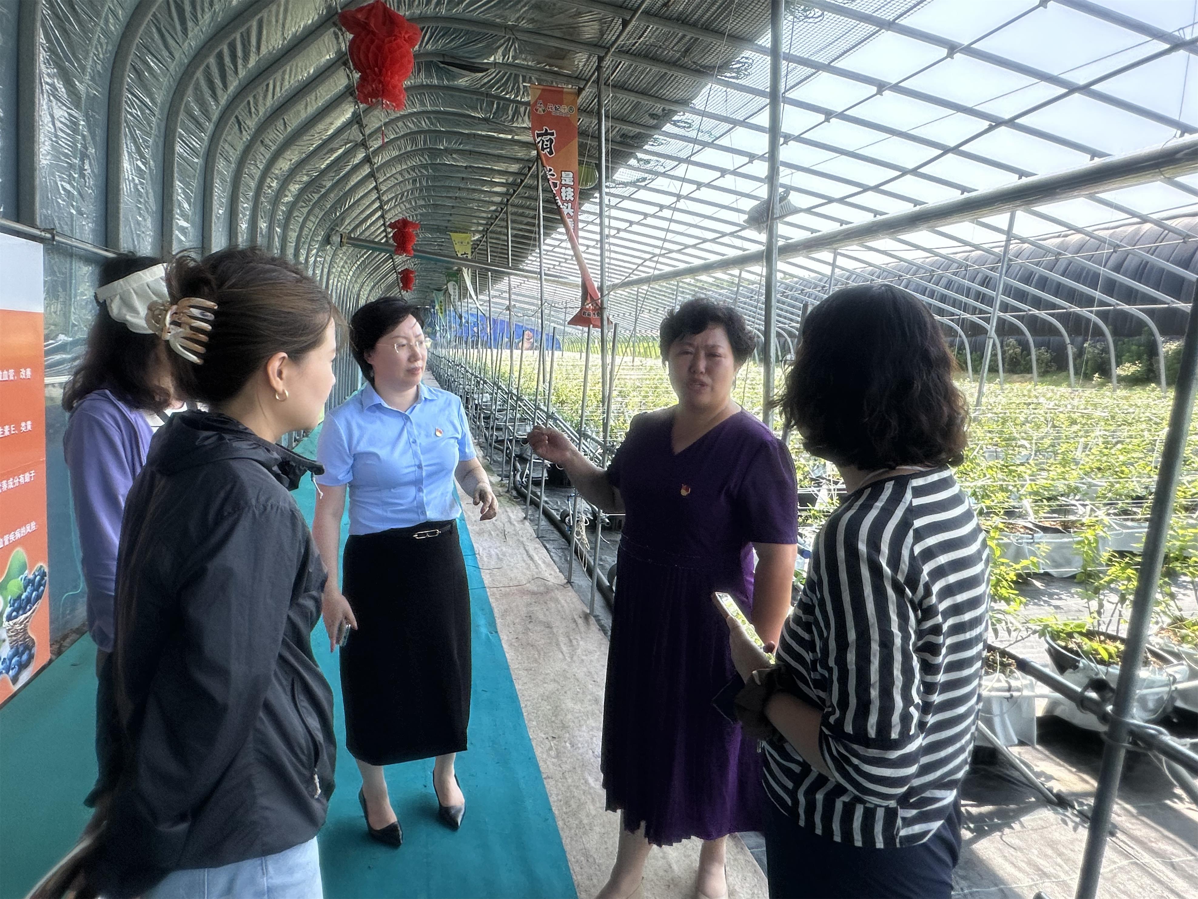 20250731新闻通稿：南台村：“大喇叭”传出保险“好声音”(1)