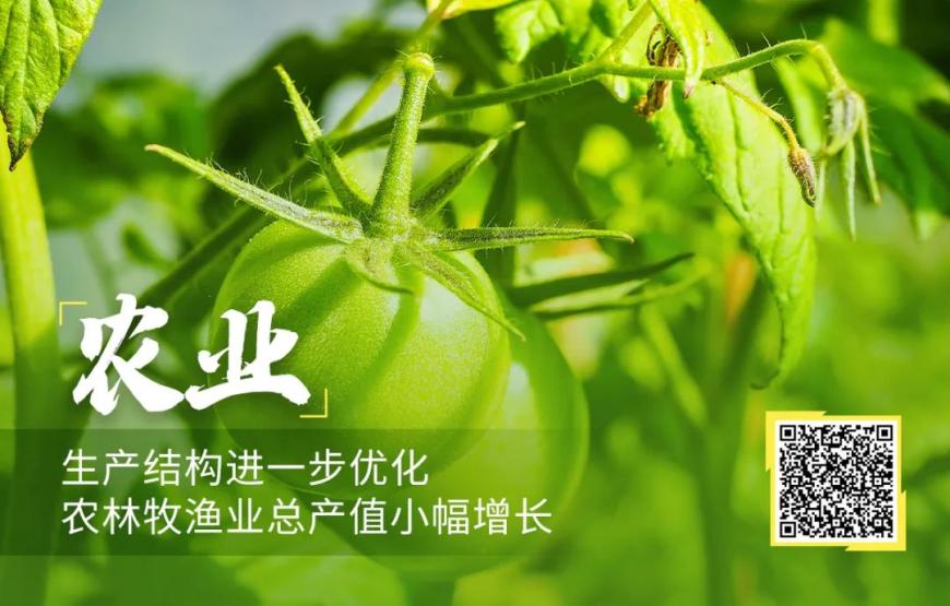 一文速览｜五大领域来看2025年上半年北京经济