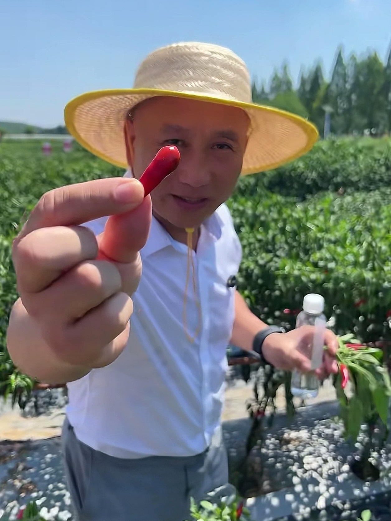 修改-【金融界】周黑鸭20250801