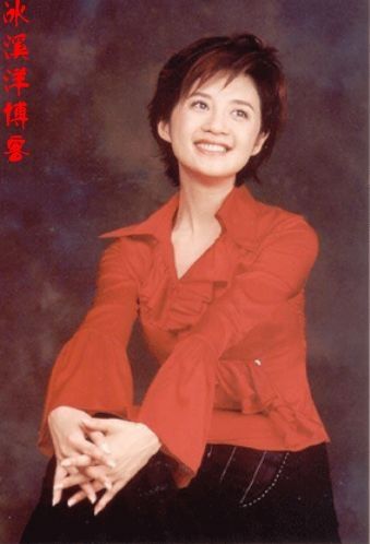 许戈辉 1995年春晚主持人