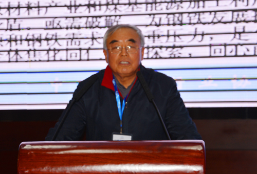 『普通』主题: 杨文彪:2014年中国焦化行业运行情况展望