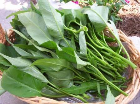 12种养肝护肝的王牌蔬菜不看后悔