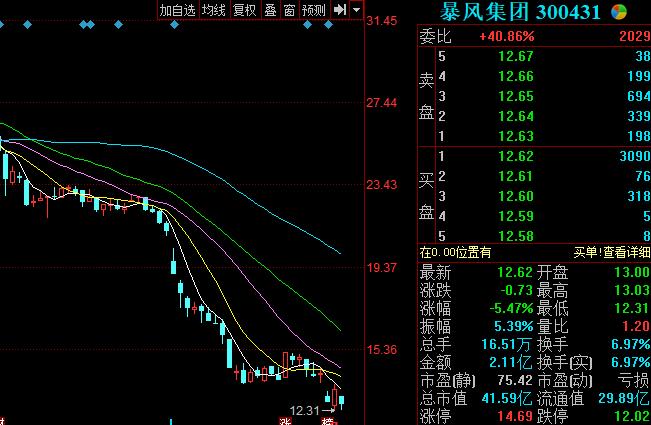 暴风集团