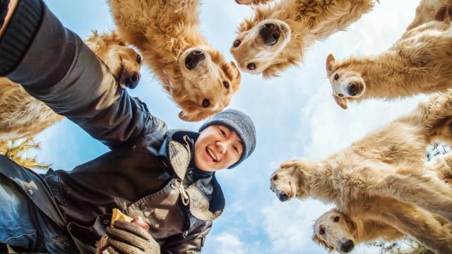 人物动物交互狗门空图片