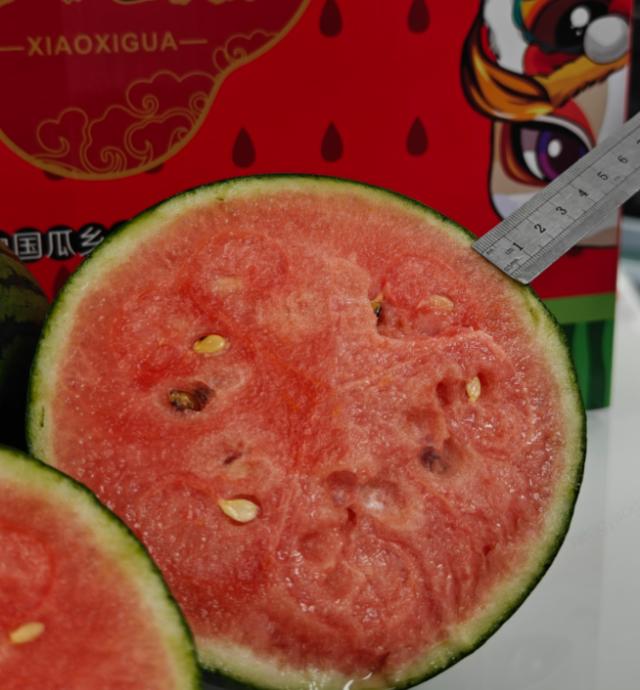 京东买菜首发庞各庄头茬西瓜 颗颗手挑新鲜直达