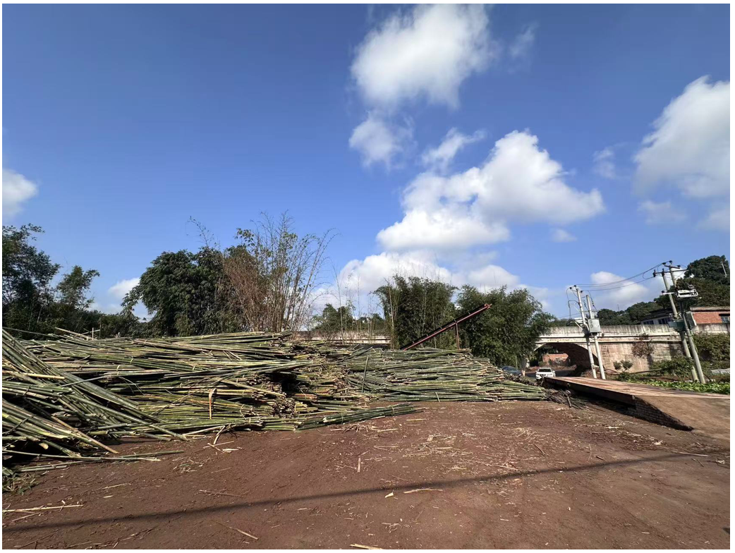 泸州银行“竹易贷”首单落地，助力竹产业蓬勃发展