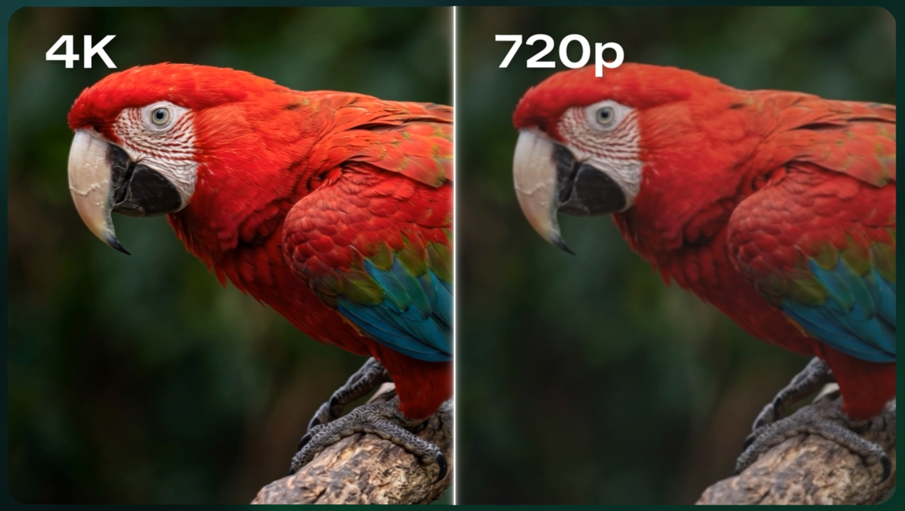 333.png