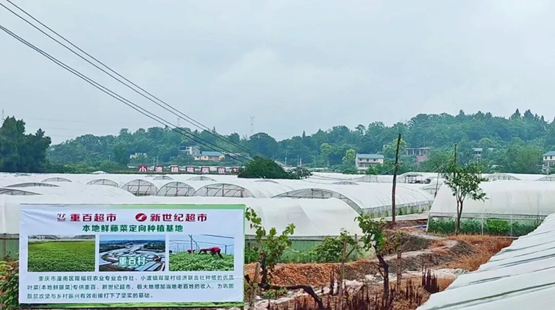 蔬菜基地.png